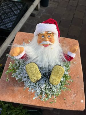 MIND YOUR OWN BUSINESS PLANT AND SANTA CLAUS