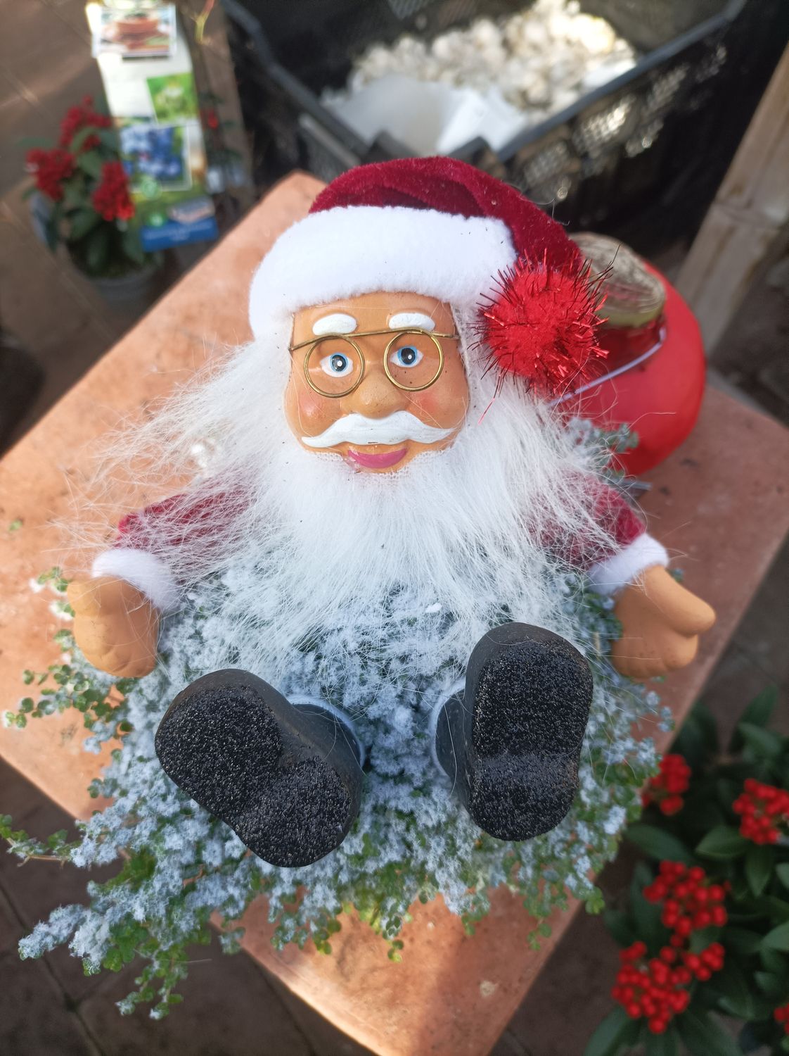 Mind your Own Business Plant with Santa Claus