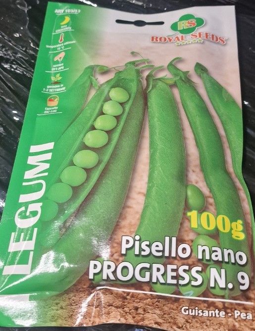 Pea - Progress N9  (dwarf variety)