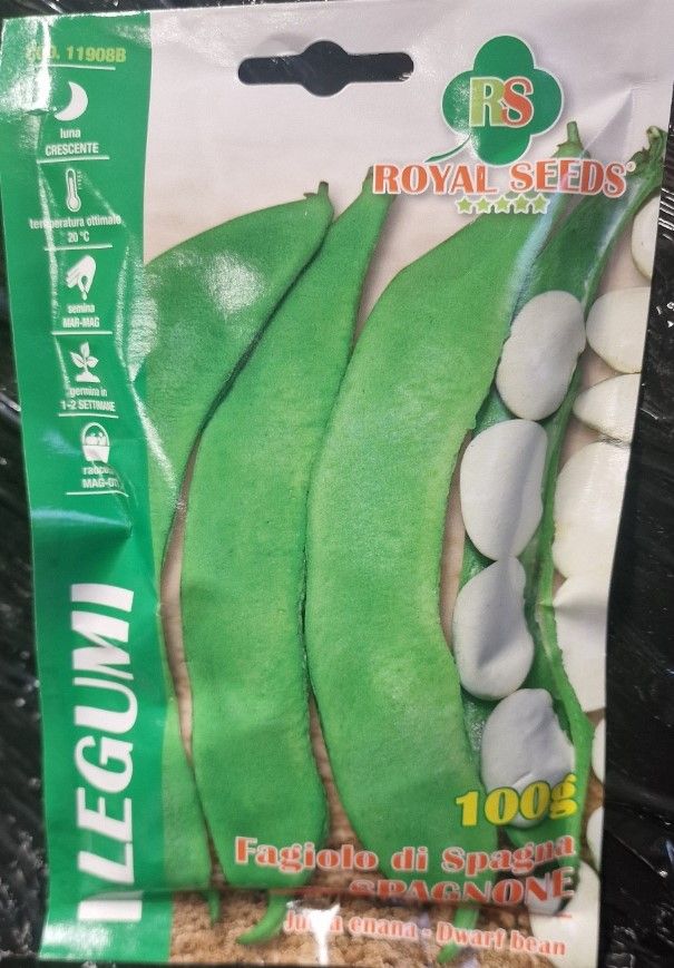 Runner Bean - Spagnone