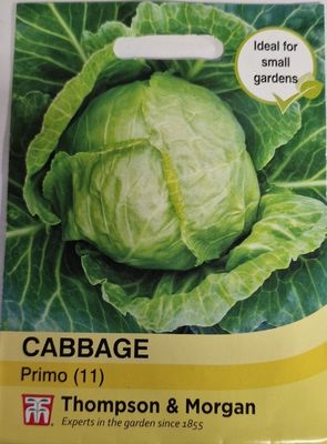 Cabbage -Primo