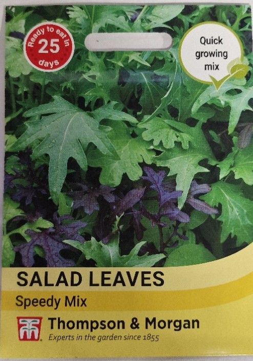 Salad Leaves- Speedy Mix
