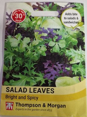 Salad Leaves- Bright &amp; Spicy