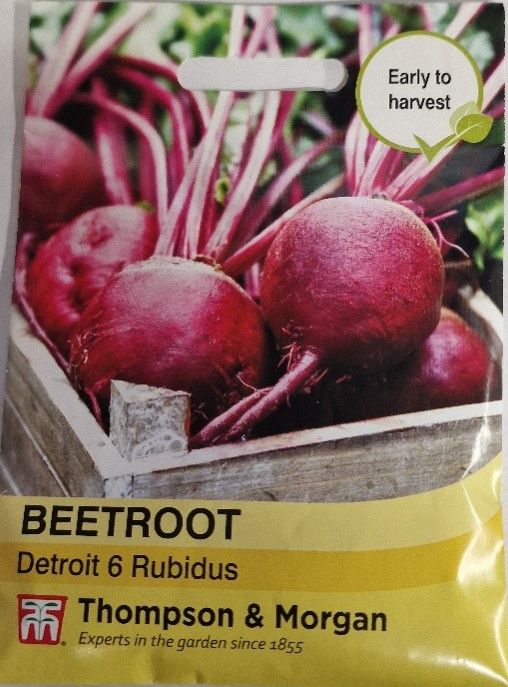 Beetroot -Detroit 6 Rubidus