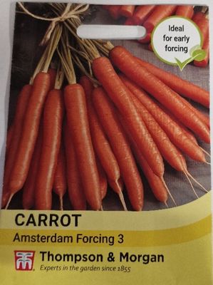 Carrot  Amsterdam Forcing 3