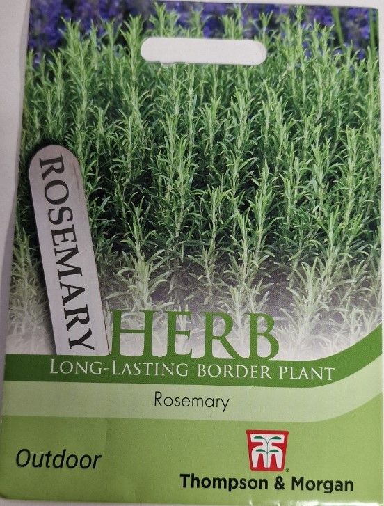 HERB Rosemary