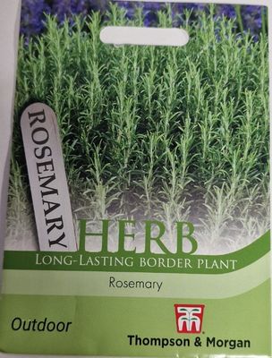 HERB Rosemary