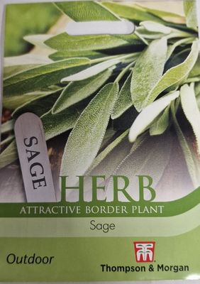 Herb- SAGE
