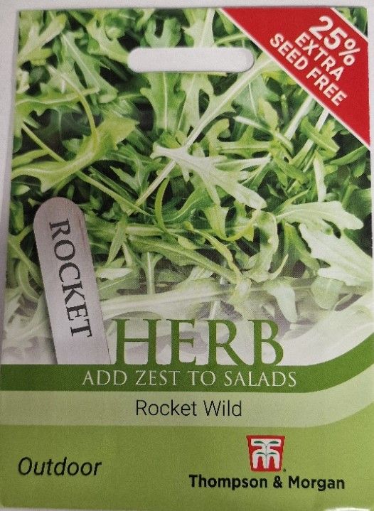HERB- Rocket   Wild