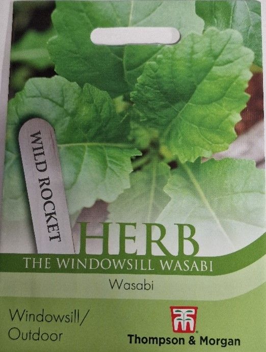 HERB- Wild Rocket &#39;&#39;Wasabi&#39;&#39;