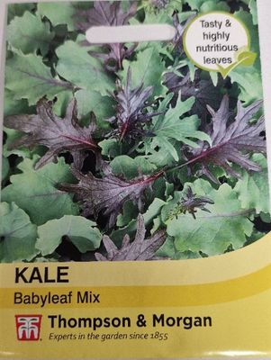 KALE - Babyleaf mix