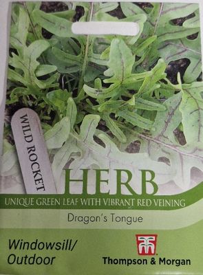 HERB- Wild Rocket &#39;&#39;Dragon&#39;s  Tongue&#39;&#39;