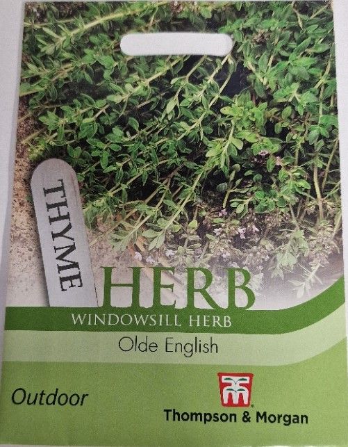 HERB - Thyme -Olde English