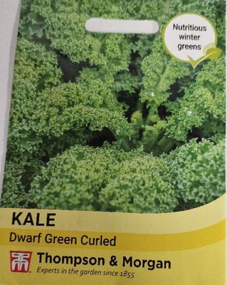 KALE- Dwarf Green Curled