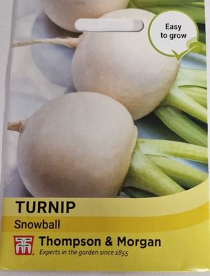 Turnip- Snowball