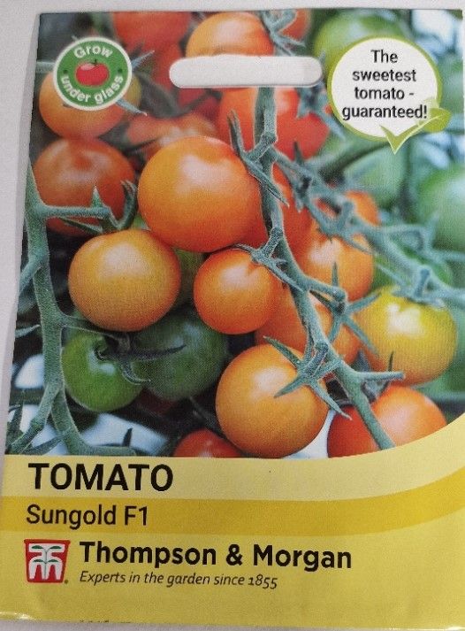 Tomato- Sungold