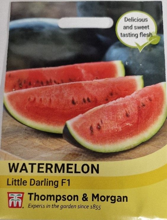 Watermelon - Little Darling