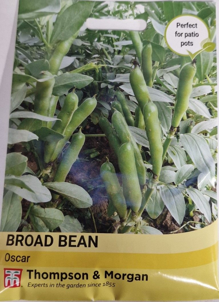 Broad Bean - OSCAR