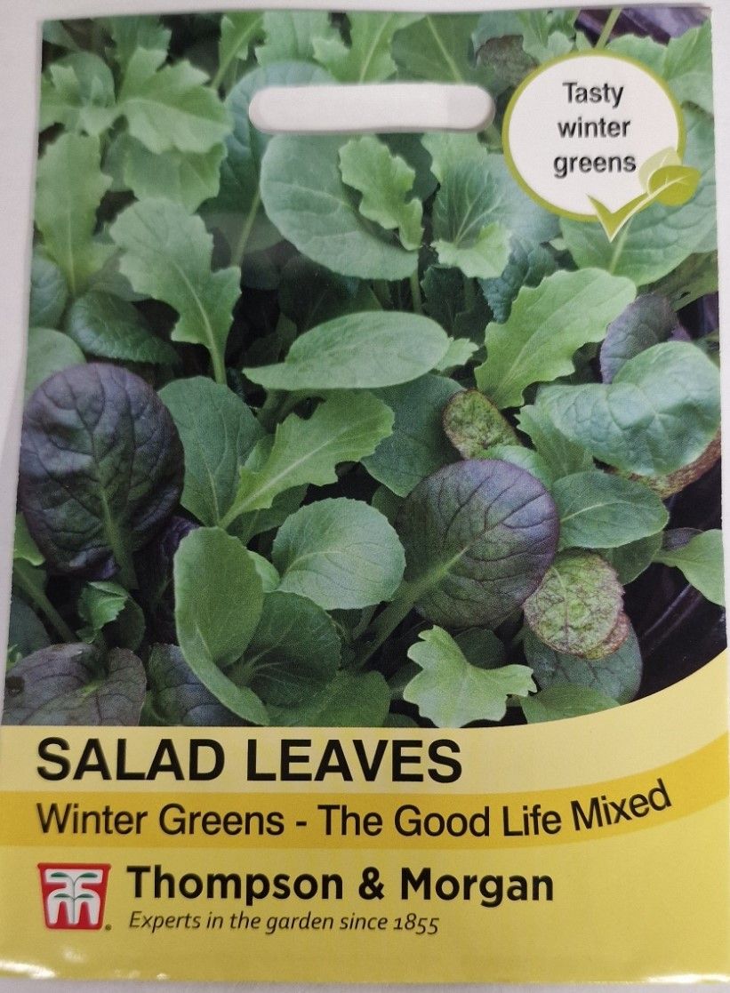 Salad leaves- Winter Greens- The Good Life mixed
