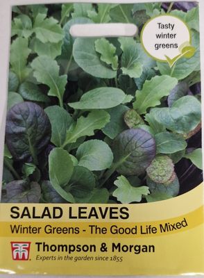 Salad leaves- Winter Greens- The Good Life mixed