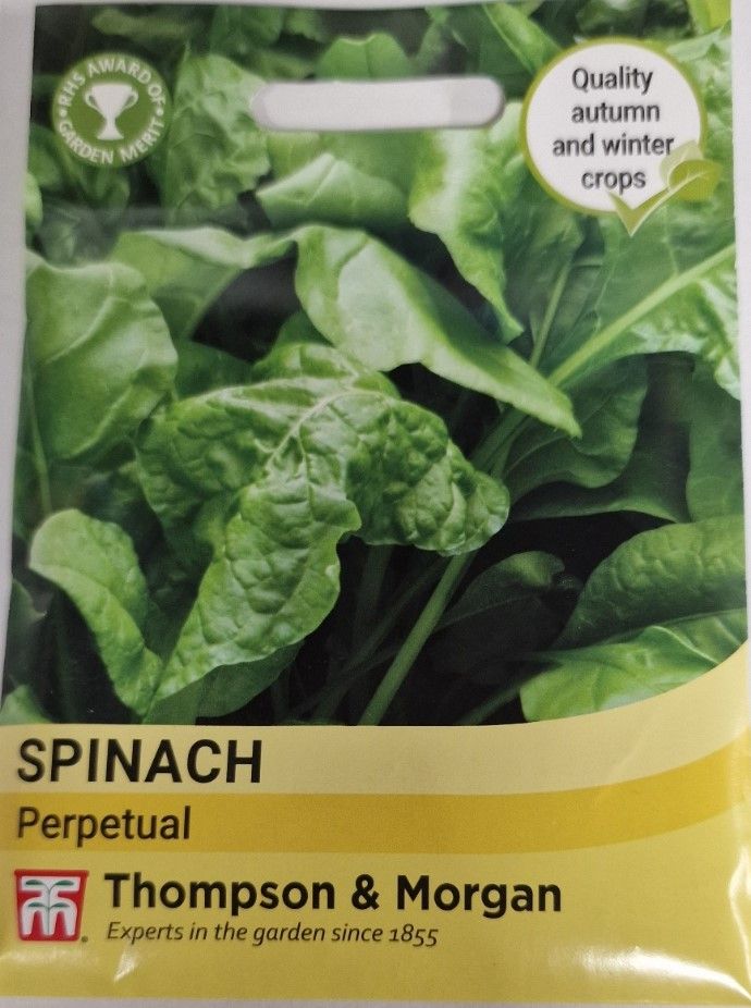 Spinach -Perpetual
