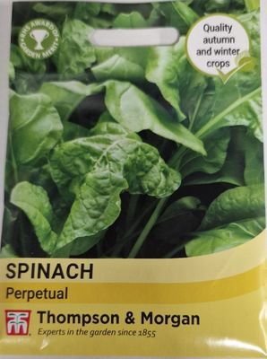 Spinach -Perpetual