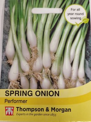 Spring Onion - Performer