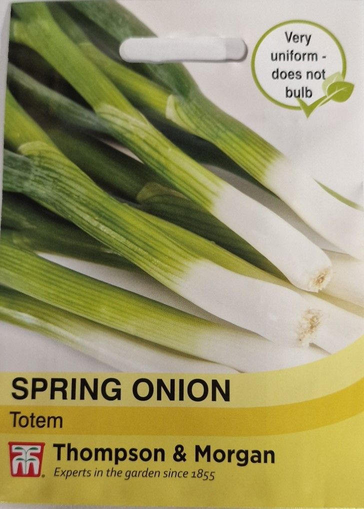 Spring Onion - Totem