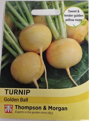 Turnip-Golden Ball