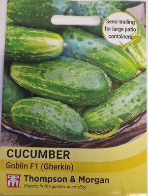 Cucumber - Goblin (Gerkin)
