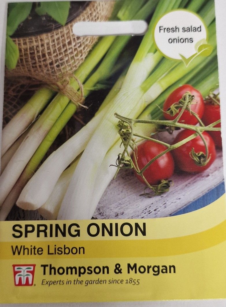 Spring Onion - White Lisbon