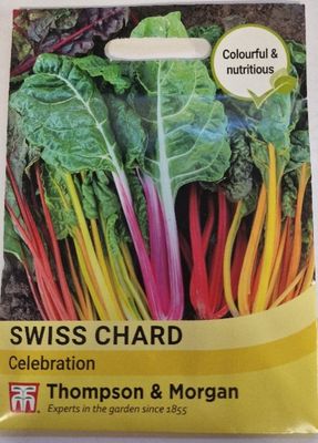 Swiss Chard- Celebration