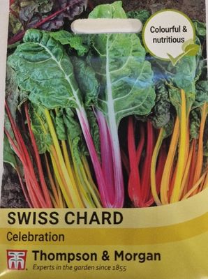 Swiss Chard - Bright Lights