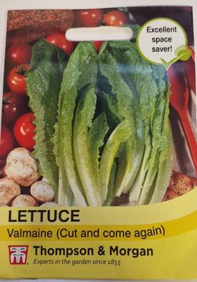 Lettuce - Valmaine