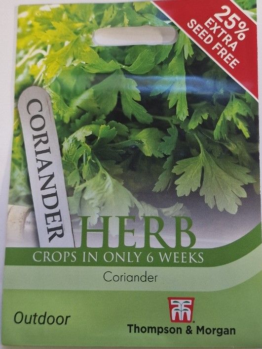HERB - Coriander