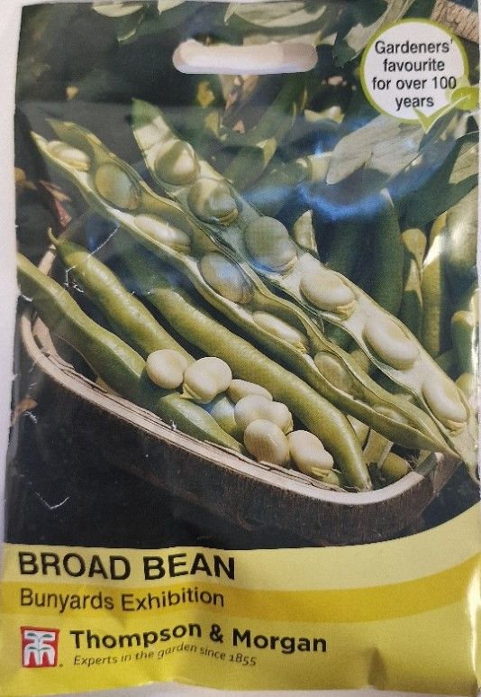 Broad Bean - Bunyards Exhibition