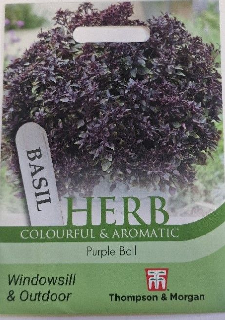 HERB- Basil &#39;&#39;Purple Ball&#39;&#39;