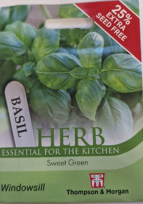 HERB- Basil &#39;&#39;Sweet Green&#39;&#39;