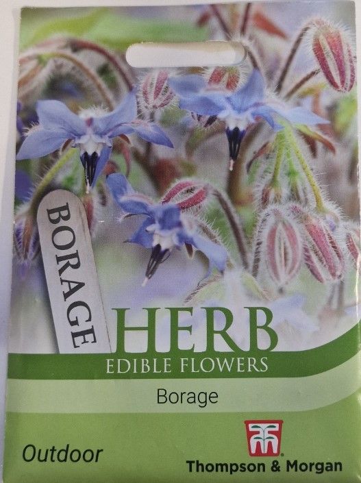 HERB - Borage