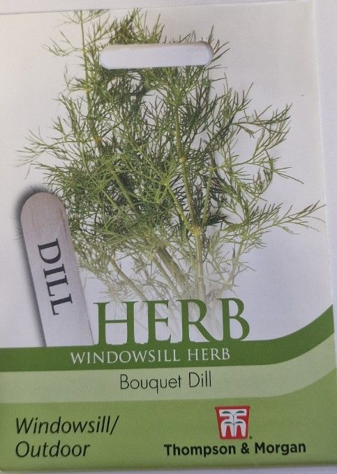 HERB- Dill (Bouquet Dill)