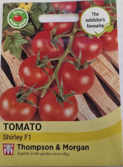 Tomato- Shirley F1