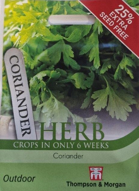 HERB - Coriander