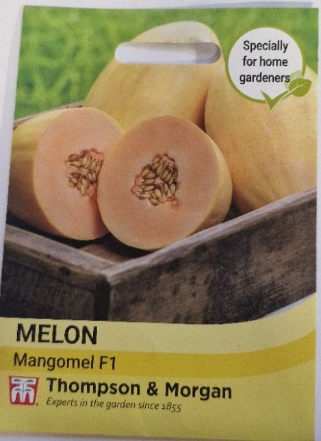 Melon - Mangomel F1