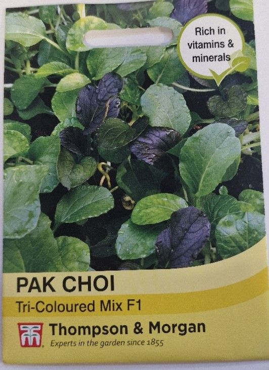 PAK CHOI - Tri-Coloured Mix F1