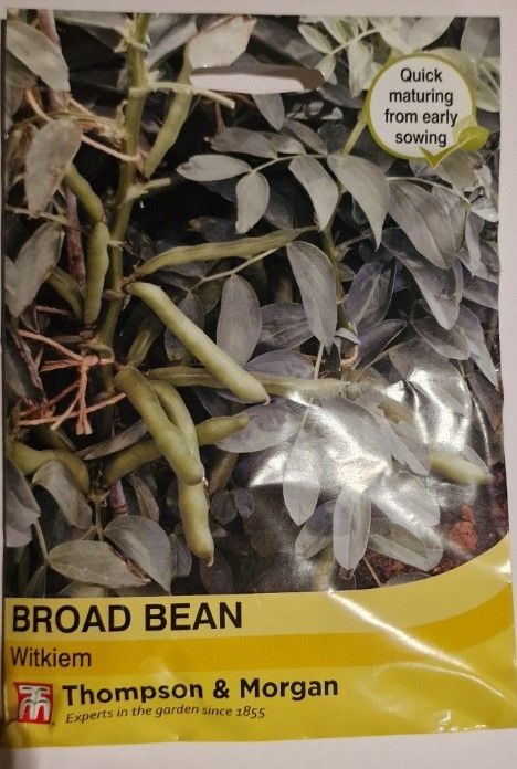 Broad Bean -Witkiem