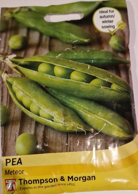 Pea- Meteor
