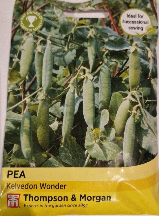 Pea-Kelvedon Wonder