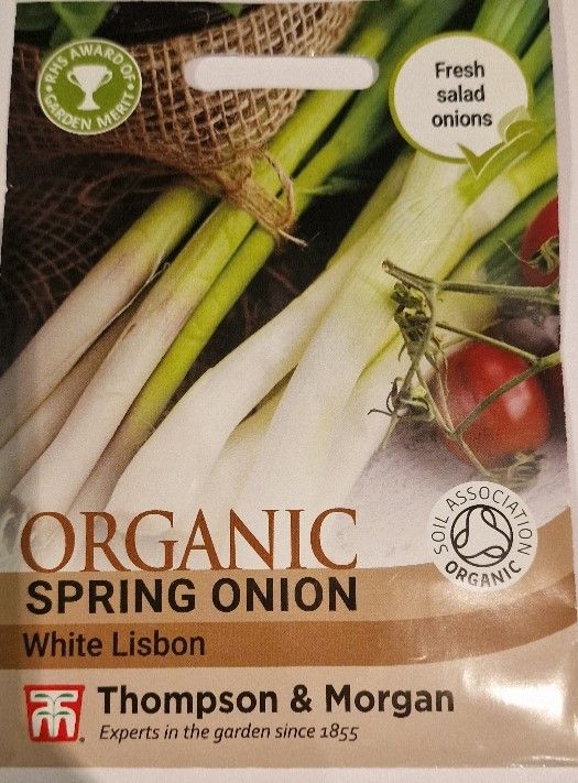 Organic- Spring Onion &#39;&#39; White Lisbon&#39;&#39;