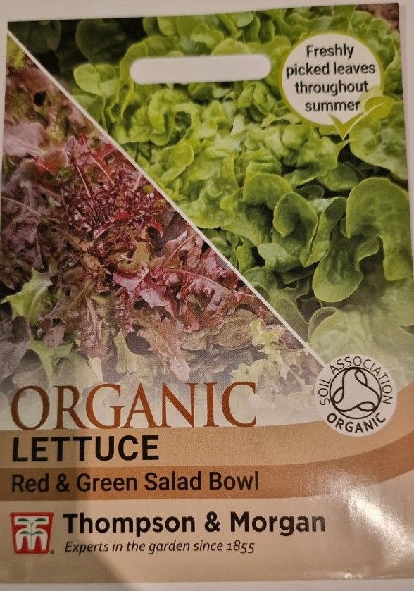 Organic-Lettuce &#39;&#39; Red&amp; Green Salad Bowl&#39;&#39;