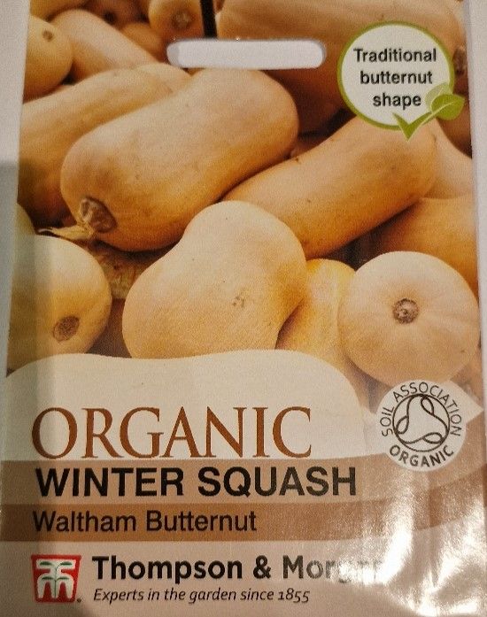 ORGANIC- Winter Squash &#39;&#39;Waltham -Butternut